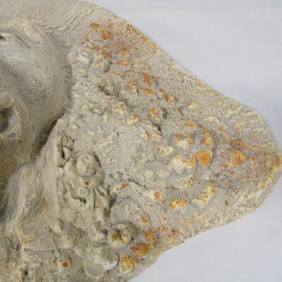 Concrete Lion Head 1988