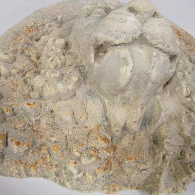 Concrete Lion Head 1988