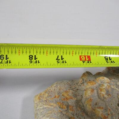 Concrete Lion Head 1988