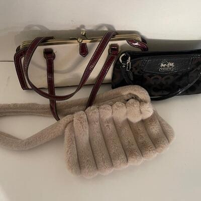 Coach, Chinese Laundry, unknown Purses
