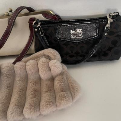 Coach, Chinese Laundry, unknown Purses