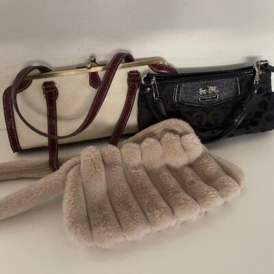 Coach, Chinese Laundry, unknown Purses
