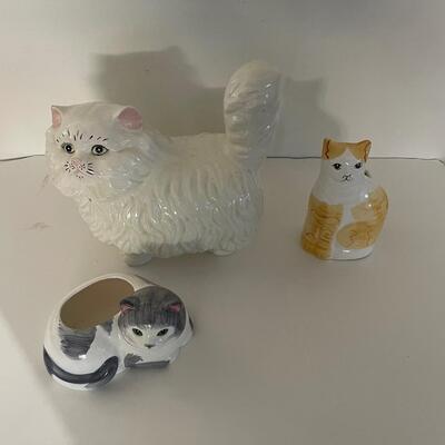 Lot of Cats!