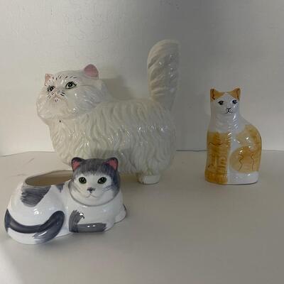 Lot of Cats!