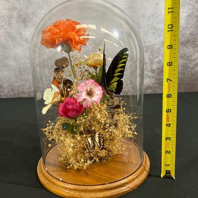 Glass Domed Display of Butterflies and Flowers