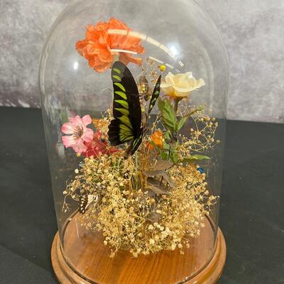 Glass Domed Display of Butterflies and Flowers