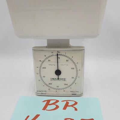 Progressive Analog Scale