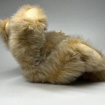 Kimbearly's Originals A&A Collectible Teddy Bear Push