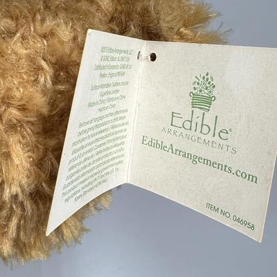 Plush Teddy Bear Stuffed Animal Lot