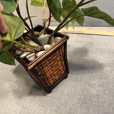 Silk Plant in a Basket 