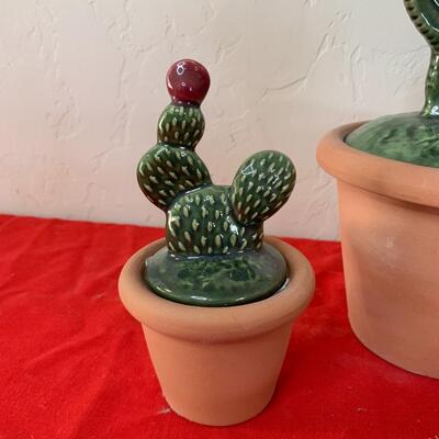 Cactus Lot
