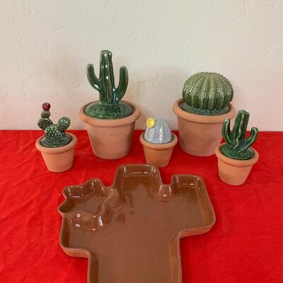 Cactus Lot