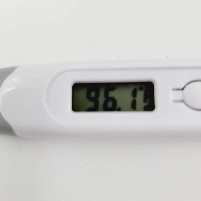 WORKING DIGITAL THERMOMETER W/ COVERS