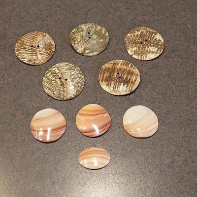 Lot 89: Assortment of Abalone Shell