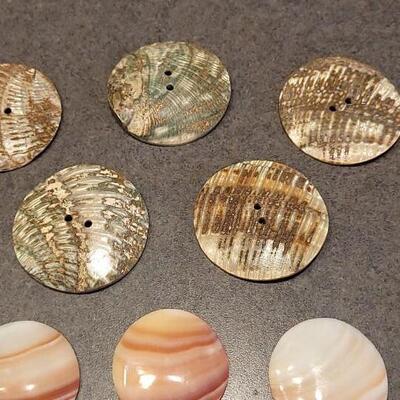 Lot 89: Assortment of Abalone Shell