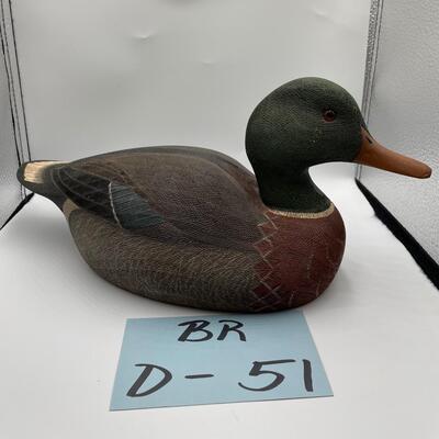 Mallard duck