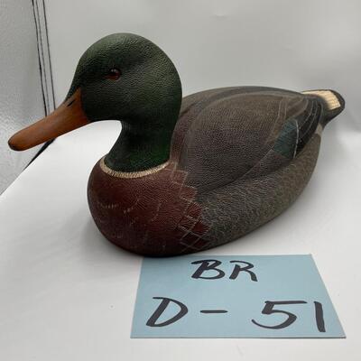 Mallard duck
