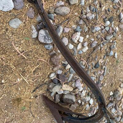 Antique Horse/Mule Drawn Plow