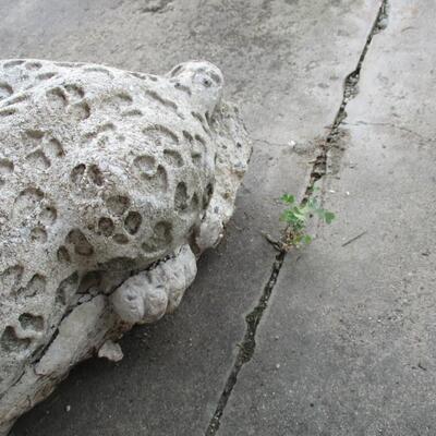 Cheetah Panther Jaguar Concreate Statue