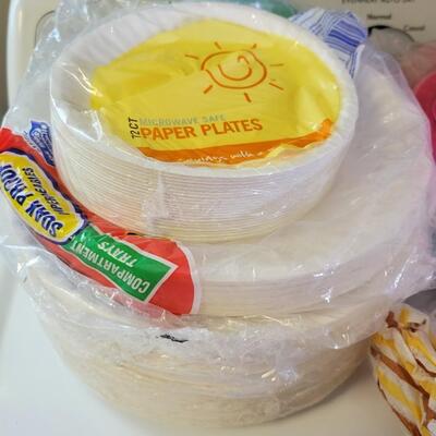 LARGE BUNDLE OF DISPOSABLE PLATES & BOWLS