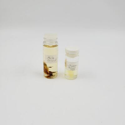 COLLECTABLE DEAD BUGS BUNDLE