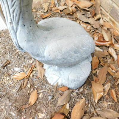 Concrete Pelican Garden Statuette