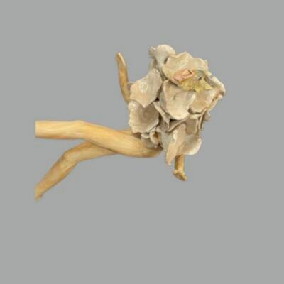 Susan Bergman Sitting Oyster Mushroom Sculpture - 3"