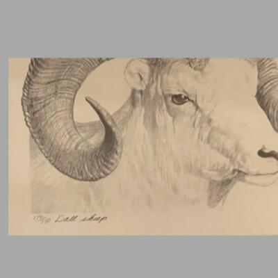 Four Framed Original Sketches - "Bighorn Collection" by Artist Charles Beckendorf