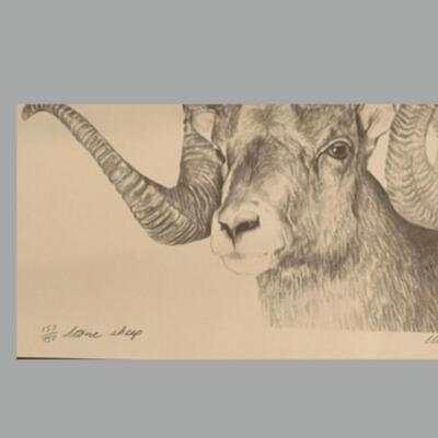 Four Framed Original Sketches - "Bighorn Collection" by Artist Charles Beckendorf