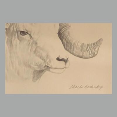Four Framed Original Sketches - "Bighorn Collection" by Artist Charles Beckendorf