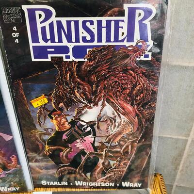 Lot of 20 The PUNISHER