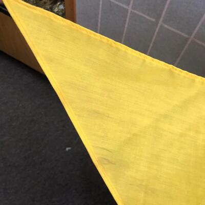 Lot of 2 Camp Mitigwa 1973 Neckerchiefs