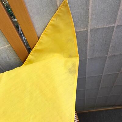 Lot of 2 Camp Mitigwa 1973 Neckerchiefs