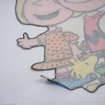 Peanuts Gang Thick cloth Wall Display