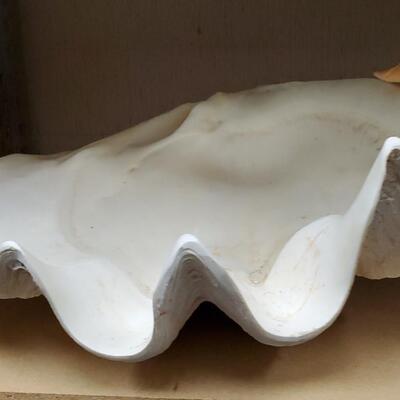 Giant Clam Shell