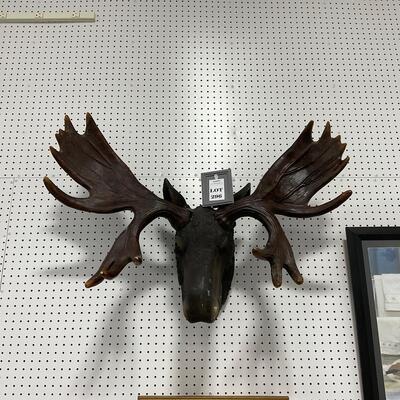 -296- VINTAGE | North American Moose Trophy Head Wall Sculpture