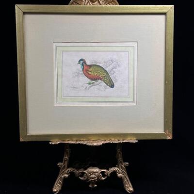 19th C Antique Hand-colored Etching Oriental Pheasant