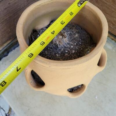 HEN & CHICK TERRACOTTA POT