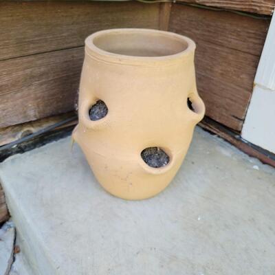 HEN & CHICK TERRACOTTA POT