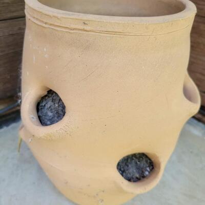 HEN & CHICK TERRACOTTA POT