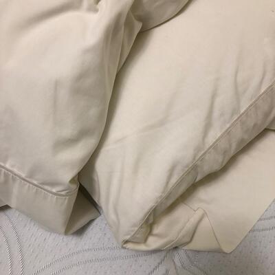 64- 4 pillows (2 are My Pillows)