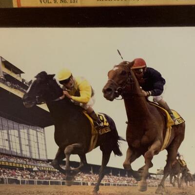 Jimmy the Greek signed framed 18â€ wide x 16â€ high Horse Racing Memorabilia