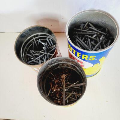 ASSORTMENT OF GARAGE NAILS
