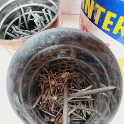 ASSORTMENT OF GARAGE NAILS