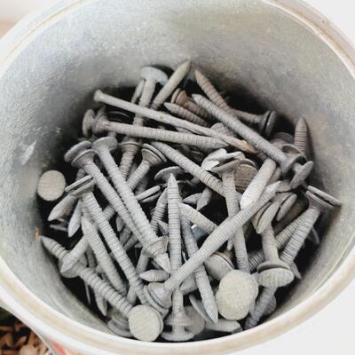ASSORTMENT OF GARAGE NAILS