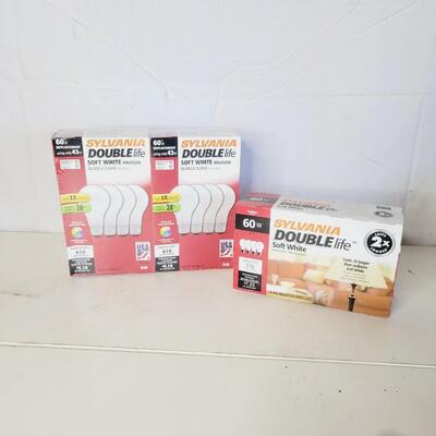 ASSORTMENT OF NEW BULBS