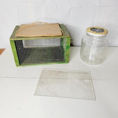 HOMEMADE BUG CATCHING CAGES
