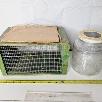 HOMEMADE BUG CATCHING CAGES