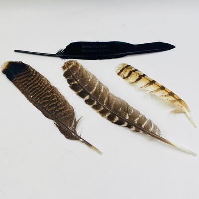 FLY AWAY FEATHER LOT