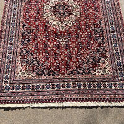 Exceptional 10-Border Oriental Rug Hand Loomed 48x74